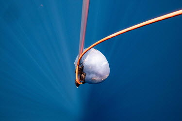 A directional hydrophone used to track a group of sperm whales near the Seychelles.