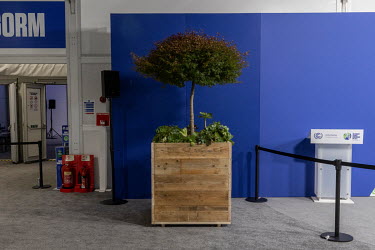 A tree in a planter within the COP26 summit, at the Scottish Exhibition Centre in Glasgow, Scotland.