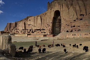 Shepherds look after their flocks in front of the emtpy niche where the large Buddha statue used to stand before being detroyed by the Taliban in 2001.