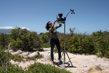 Wendy Foden of the South Africa National Parks Service, SANPARKS, checks a weather station at Boulders Beach. Foden's work aims to mitigate the impact of climate change on the penguin colony.
