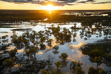 A view of farmland between Narrabri and Wee Waa showing the effects of heavy floods which have destroyed crops, put livestock lives at risk and damaged homes and infrastructure.
