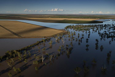 A view of farmland close to Wee Waa showing the effects of heavy floods which have destroyed crops, put livestock lives at risk and damaged homes and infrastructure.