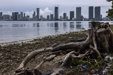Buildings under construction in downtown Miami, Florida. The 6 million people who live in the state are impacted by almost every natural phenomenon, from rising sea levels to coastal erosion, from hur...