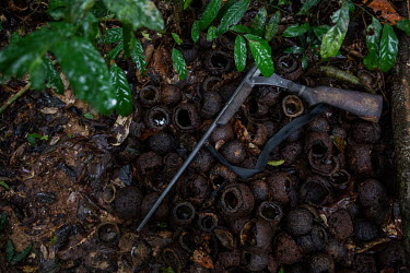 A shotgun sits on broken shells of nuts collected in the forest within the area of the Antimary Extractive Settlement Project in Amazonas. The area is being deforested by land grabbers, threatening th...