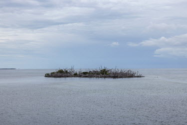 Island with dead vegetation viewed from the Overseas Highway (US Highway 1), that connects the islands of the Florida Keys, the southernmost part of the United States.