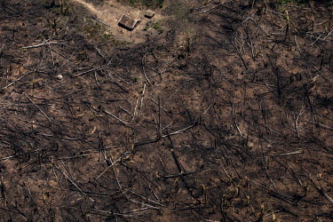 Area deforested by land grabbers inside the Trincheira Bacaja indigenous territory in Para state, Brazil.