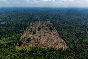 Area deforested by land grabbers inside the Trincheira Bacaja indigenous territory in Para state, Brazil.