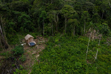 Area deforested by land grabbers within the Antimary Extractive Settlement Project in Amazonas. The area is being deforested by settlers, threatening the livelihoods of residents who depend on collect...