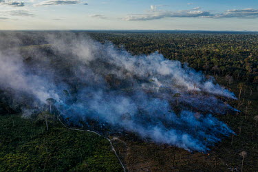 Smoke billows from a fire in an area of the Amazon jungle as it is cleared by land grabbers inside the Trincheira Bacaja indigenous territory in Para state, Brazil.