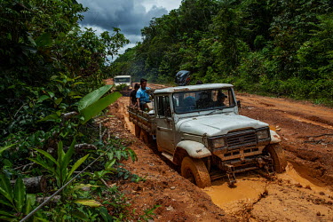Pick up trucks travel along the road BR 307 on the stretch that connects Sao Gabriel da Cachoeira to the Ya Mirim community within the Balaio Indigenous Territory. The road is the only access to sever...