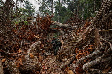 Inspectors from IPAAM (Amazon Environmental Protection Institute), escorted by military police, inspect a recent deforestation in the municipality of Apui, in southern Amazonas.