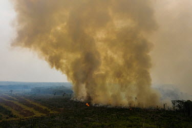 The remnants of a once forested area are burnt to make way for agriculture in southern Amazonas state.