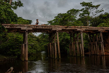 Wooden bridge which carries the road BR 307 over the Ya Mirim creek in the Balaio Indigenous Territory, near Sao Gabriel da Cachoeira. This region contains one of the largest niobium reserves in the w...