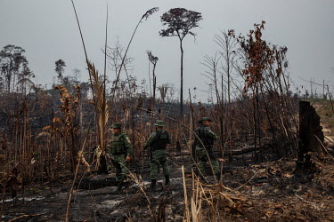 Inspectors from IPAAM (Amazon Environmental Protection Institute), escorted by military police, inspect an area of recent deforestation in the municipality of Apui, in southern Amazonas.