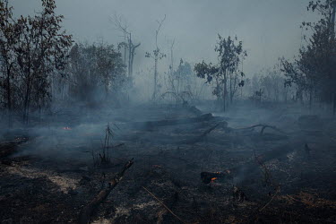 Land is cleared by burning in a rural area of Apui along the Trans Amazonian highway.