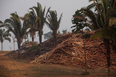 A heap of wood scraps near a sawmill in Santo Antonio do Matupi near the Trans Amazonian Highway.