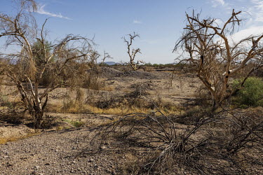 Arid landscape in rural Maricopa County, Arizona, one of the regions hardest hit by drought in the state.