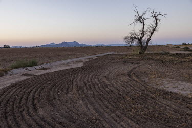 An irrigation canal in the rural area of Casa Grande runs through land used for agriculture that has dried up due to the severe drought that has hit Arizona.