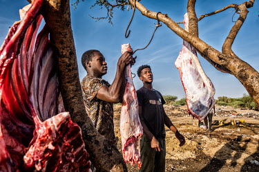 Hanging meat in a tree. Without many facilities, butchers have to do their work in unhygienic conditions. Kiffa's slaughter field is located outside the center near the domestic waste dump site.