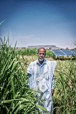 Mauritania, Guerou, Asaba province. Yahya Khatri, A modern livestock farmer with a large farm near Guerou. He uses the electricity solar panels to drive a water pump and in this way to irrigate his la...
