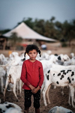 A girl from a nomadic pastoralist family stands among the goats from the herd.