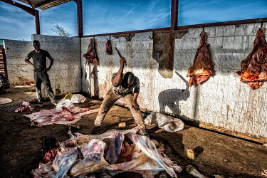 Two butcher working. Without many facilities, butchers have to do their work in unhygienic conditions. Kiffa's slaughter field is located outside the center near the domestic waste dump site.
