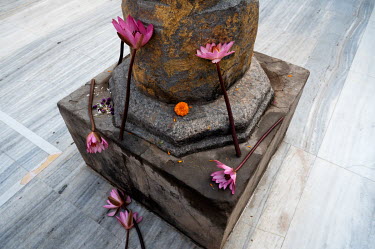 Pimk lotus flowers left as offerings at a Buddhist pilgrimage site said to be where Buddha sat under the bodhi tree and received enlightenment.
