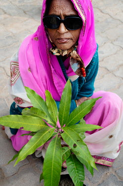 A post operative cataract patient, wearing a pink sari, holds the mango tree sapling she has been given at the Dristi Eye hospital as an incentive for blind villagers to have cataract operations.