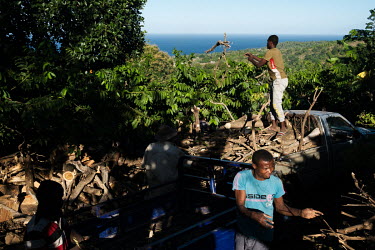 Stocks of fuel wood being delivered to an ylang ylang oil distillery belonging to Darmine Daoud in Hachipenda on the island of Anjouan in the Comoros. Daoud has invested in wood efficient processes su...