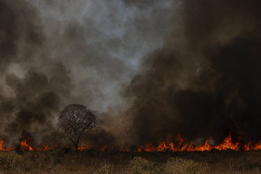 Fire burns vegetation on the banks of the Transpantaneira road, in Mato Grosso.
