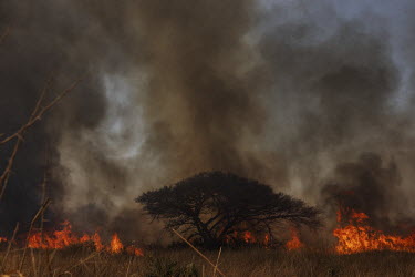 Fire burns vegetation on the banks of the Transpantaneira road, in Mato Grosso.