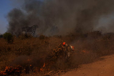 Firefighters at work on the banks of the Transpantaneira road, in Mato Grosso.