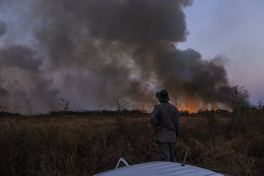 Professional and volunteer firefighters investigate fires at a farm on the banks of the Transpantaneira road, in Mato Grosso.