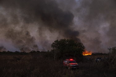 Professional and volunteer firefighters investigate fires at a farm on the banks of the Transpantaneira road, in Mato Grosso.