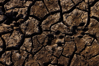 Jaguar footprint in the bed of a dry lake on the Santa Tereza farm in the Serra do Amolar region. Without water to get around, alligators become easy prey for jaguars.