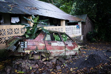 A tree growing out of a scrapped car on the island of Anjouan in the Comoros.