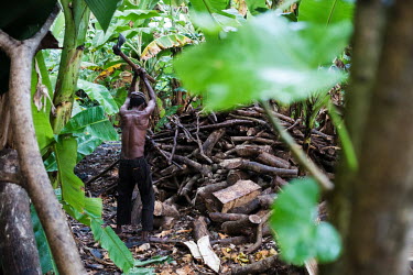 A labourer chops wood to fuel the furnaces at an ylang ylang oil distillery near Moya on the island of Anjouan in the Comoros. The Comoros has one of the highest rates of deforestation in the world an...