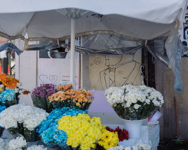 Mustafa Kemal Ataturk's profile drawn on a wall behind aflower seller's stall in Kadikoy port.