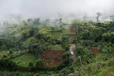 Low cloud over a mosaic of crop fields on once forested highland slopes in Adda Antenijou on the island of Anjouan in the Comoros. Population growth and corresponding demand for fuel wood, timber for...