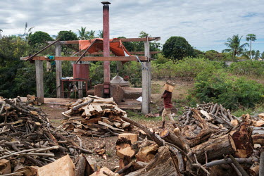 Wood supplies stockpiled at an ylang ylang distillery. The highly scented oil is used in perfumes by manufacturers such as Chanel, Dior and Guerlain, as well as in a range of other cosmetic, aromather...