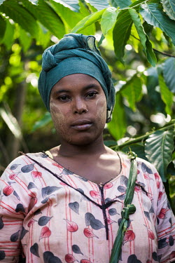 Houldiya Hamada Himidi, 28, while harvesting ylang ylang flowers near Ouallah on the island of Moheli in the Comoros. Oil distilled from the flowers is is used in perfumes by manufacturers such as Cha...