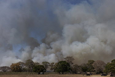 Fire hits a farm on the Transpantaneira road, in Mato Grosso.