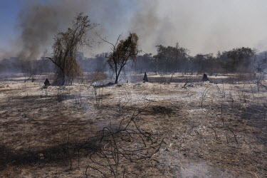 Freshly burned vegetation on the banks of the Transpantaneira road, in Mato Grosso.