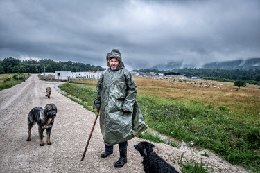A shepherd with his sheep near the refugee camp in Lipa. This refugee camp near Bihac, Bosnia Herzegovina, has capacity for about 1000 refugees. In 2021 the refugees here are mainly from Pakistan. The...