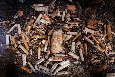 A large pile of cigarette stubs.