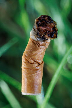 Cigarette stub close up.