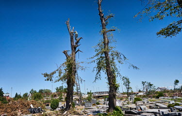 A man cuts the remnants of a tree destroyed by a tornado in a cemetery. A deadly tornado swept through several villages in South Moravia on 24 June 2021, killing seven people and leaving about 200 inj...