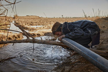 A boy drinks from water pumped to a field planted with opium poppy. Solar panels are used to power pumps that tap ground water in deep tube wells. As these solar pumps push the water table lower, the...