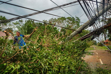A man works cutting branches from a fallen tree in Tawala, the morning after typhoon Rai.