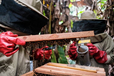 Princip Alowakinnou trains Doris Geandja in performing maintenance on a beehive. Beekeeping and honey production can be an alternative livelihood to reduce pressure on the natural resources of the sur...